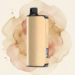 Alibarbar Ingot 9000 Pust 22ml Ikke-genopladelig